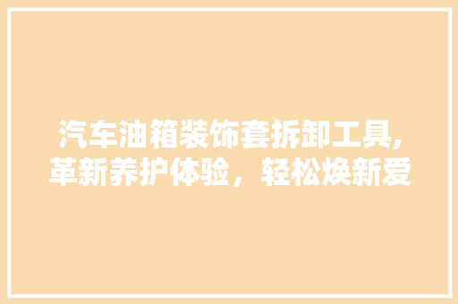 汽车油箱装饰套拆卸工具,革新养护体验，轻松焕新爱车风采 软装设计