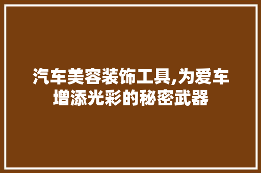 汽车美容装饰工具,为爱车增添光彩的秘密武器 地板材料