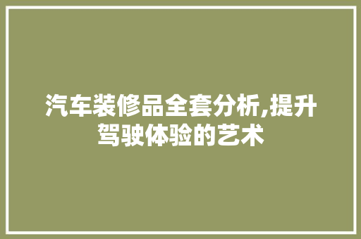 汽车装修品全套分析,提升驾驶体验的艺术