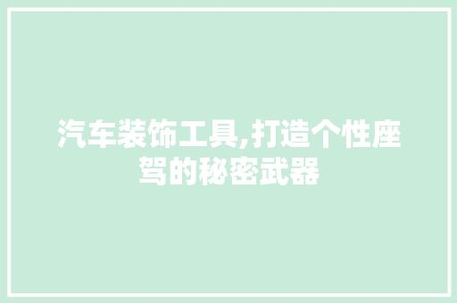 汽车装饰工具,打造个性座驾的秘密武器 地板材料