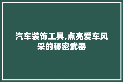 汽车装饰工具,点亮爱车风采的秘密武器 卧室装修