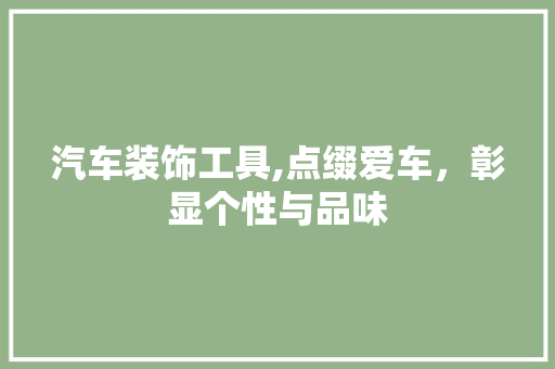 汽车装饰工具,点缀爱车，彰显个性与品味 中式风格装饰