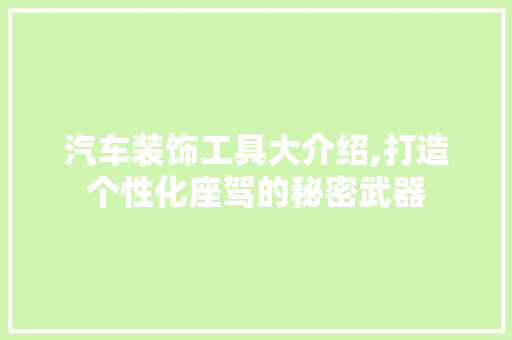 汽车装饰工具大介绍,打造个性化座驾的秘密武器 地板材料