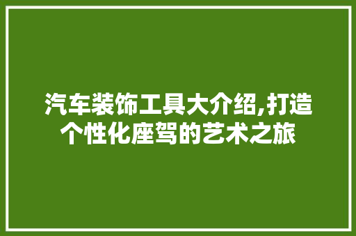 汽车装饰工具大介绍,打造个性化座驾的艺术之旅 软装设计