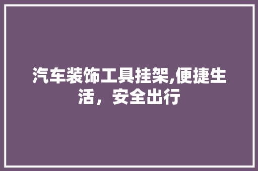 汽车装饰工具挂架,便捷生活，安全出行 室内设计