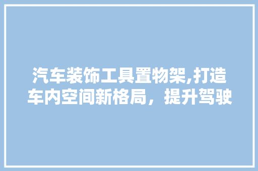 汽车装饰工具置物架,打造车内空间新格局，提升驾驶体验