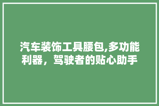 汽车装饰工具腰包,多功能利器，驾驶者的贴心助手 软装设计