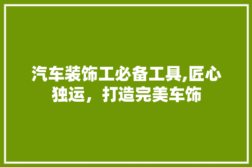 汽车装饰工必备工具,匠心独运，打造完美车饰 地板材料