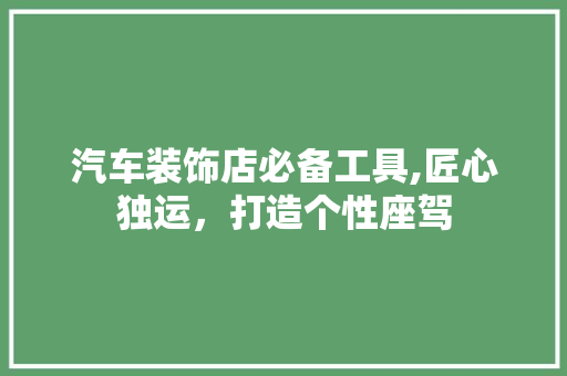 汽车装饰店必备工具,匠心独运，打造个性座驾 卧室装修