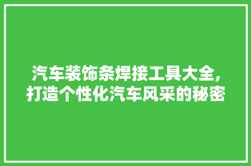 汽车装饰条焊接工具大全,打造个性化汽车风采的秘密武器 客厅装修