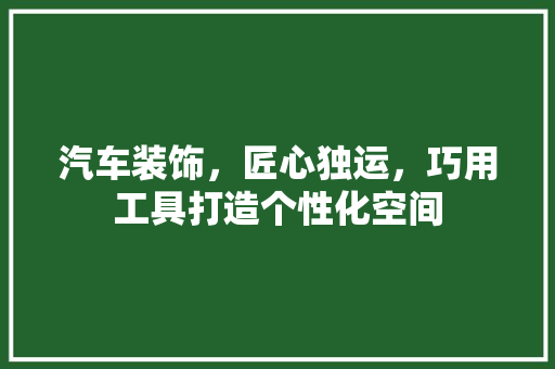 汽车装饰，匠心独运，巧用工具打造个性化空间 木雕艺术