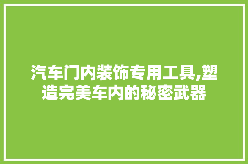 汽车门内装饰专用工具,塑造完美车内的秘密武器 软装设计