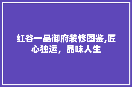 红谷一品御府装修图鉴,匠心独运，品味人生 现代风格装饰