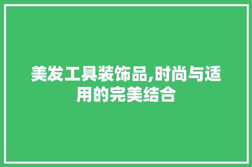 美发工具装饰品,时尚与适用的完美结合