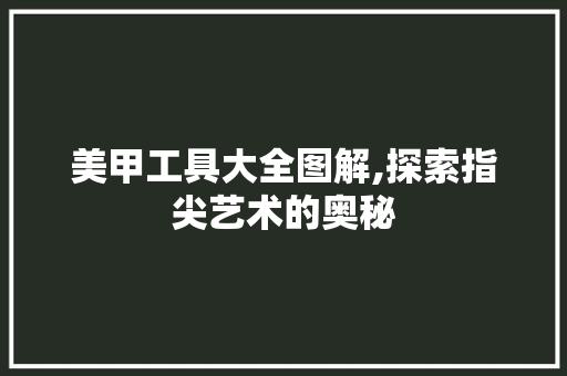 美甲工具大全图解,探索指尖艺术的奥秘
