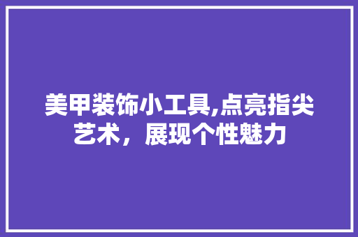 美甲装饰小工具,点亮指尖艺术，展现个性魅力