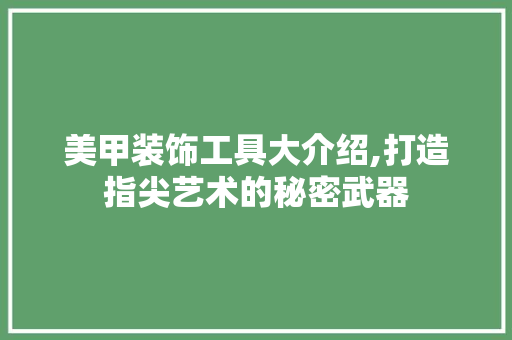 美甲装饰工具大介绍,打造指尖艺术的秘密武器