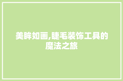 美眸如画,睫毛装饰工具的魔法之旅