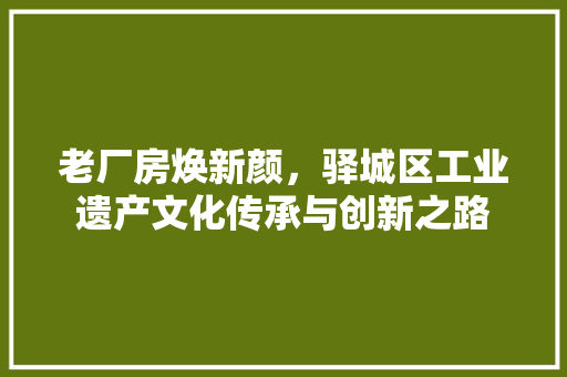 老厂房焕新颜，驿城区工业遗产文化传承与创新之路
