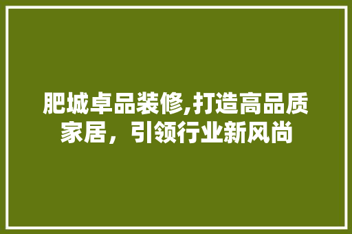 肥城卓品装修,打造高品质家居，引领行业新风尚 软装设计