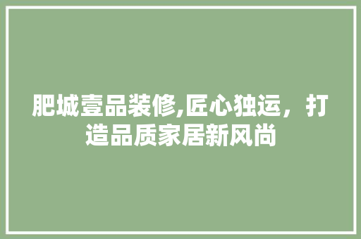 肥城壹品装修,匠心独运，打造品质家居新风尚 软装设计