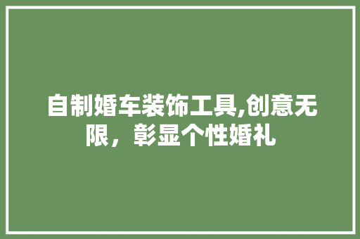 自制婚车装饰工具,创意无限，彰显个性婚礼 中式风格装饰