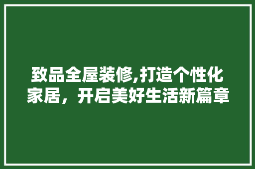 致品全屋装修,打造个性化家居，开启美好生活新篇章 软装设计