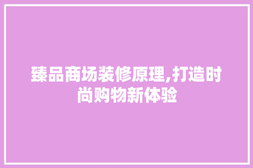 臻品商场装修原理,打造时尚购物新体验 客厅装修