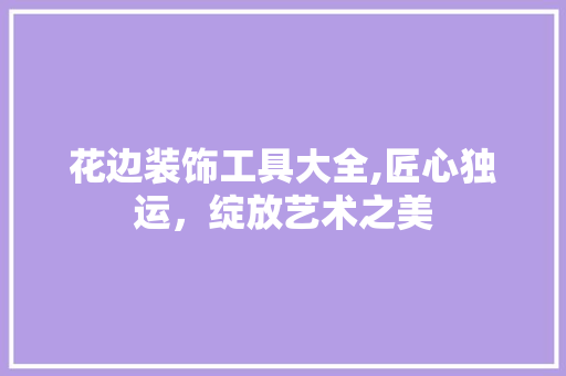 花边装饰工具大全,匠心独运，绽放艺术之美