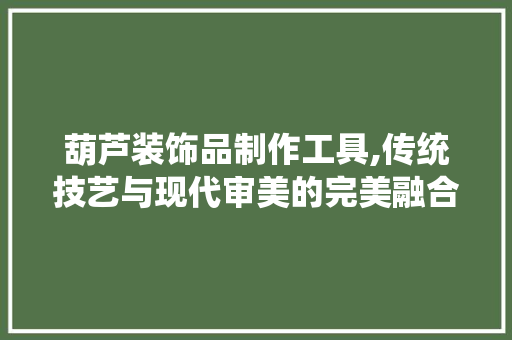 葫芦装饰品制作工具,传统技艺与现代审美的完美融合