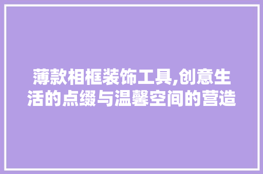 薄款相框装饰工具,创意生活的点缀与温馨空间的营造 现代风格装饰