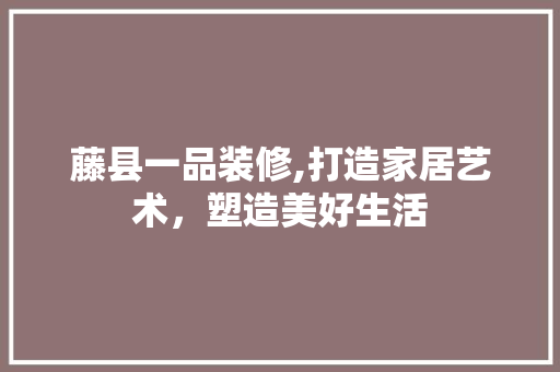 藤县一品装修,打造家居艺术，塑造美好生活