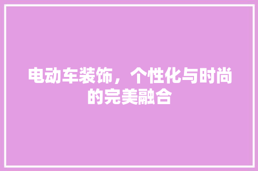 电动车装饰，个性化与时尚的完美融合 木雕艺术