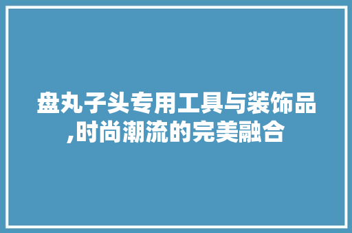 盘丸子头专用工具与装饰品,时尚潮流的完美融合 室内设计