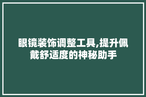 眼镜装饰调整工具,提升佩戴舒适度的神秘助手