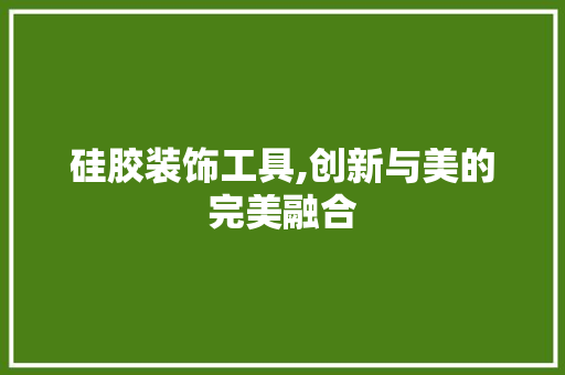 硅胶装饰工具,创新与美的完美融合 客厅装修