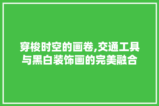 穿梭时空的画卷,交通工具与黑白装饰画的完美融合 地板材料