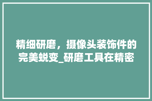 精细研磨，摄像头装饰件的完美蜕变_研磨工具在精密制造业中的应用 现代风格装饰