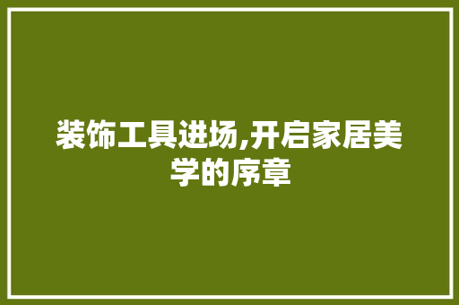 装饰工具进场,开启家居美学的序章 客厅装修