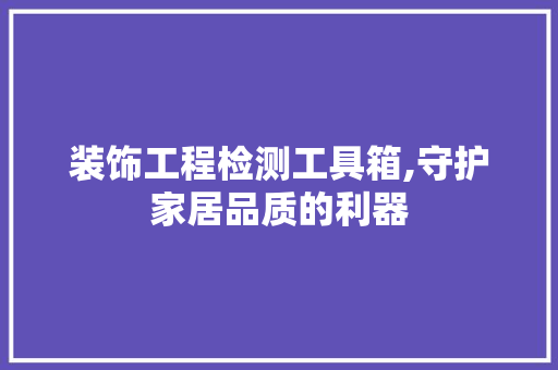 装饰工程检测工具箱,守护家居品质的利器 客厅装修