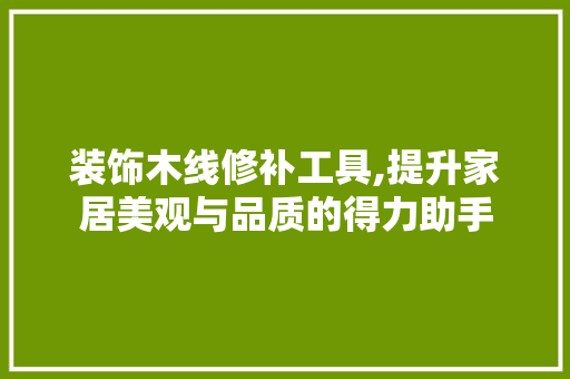 装饰木线修补工具,提升家居美观与品质的得力助手
