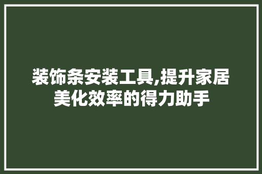 装饰条安装工具,提升家居美化效率的得力助手 客厅装修