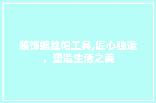 装饰螺丝帽工具,匠心独运，塑造生活之美 室内设计