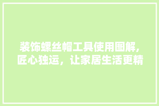 装饰螺丝帽工具使用图解,匠心独运，让家居生活更精致 现代风格装饰