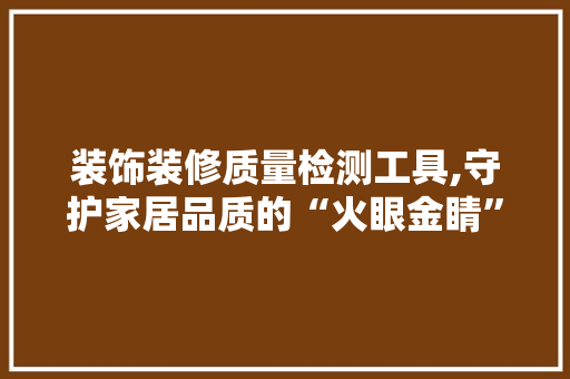装饰装修质量检测工具,守护家居品质的“火眼金睛” 现代风格装饰