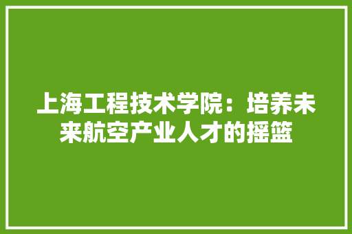 上海工程技术学院：培养未来航空产业人才的摇篮 软装设计