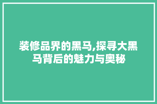 装修品界的黑马,探寻大黑马背后的魅力与奥秘 客厅装修