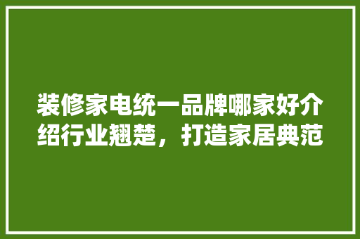 装修家电统一品牌哪家好介绍行业翘楚，打造家居典范