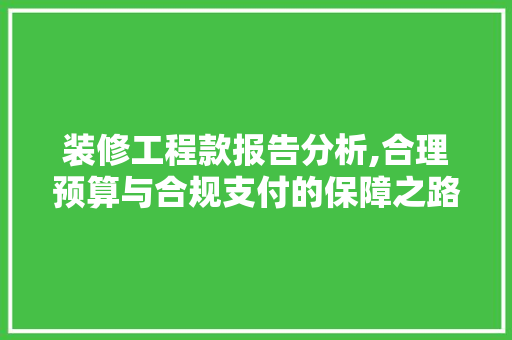 装修工程款报告分析,合理预算与合规支付的保障之路 木雕艺术