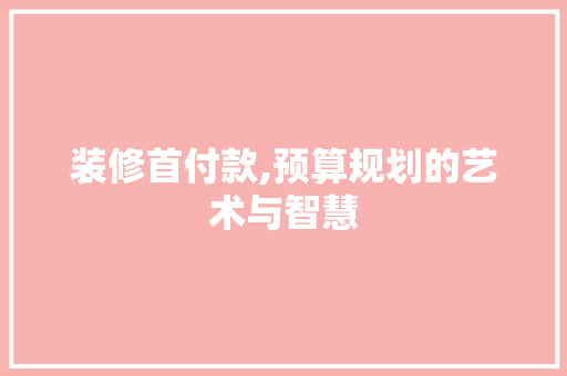 装修首付款,预算规划的艺术与智慧 软装设计